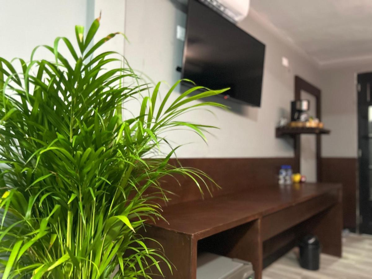 Huasteca Em Suites Сиудад Валес Екстериор снимка